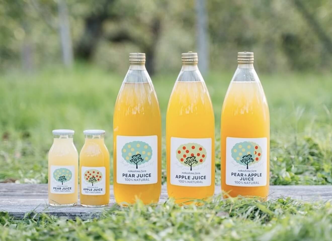 富山のグルメ第14弾は、りんごの贈り物「魚津りんご３個＋100%無添加ジュース（梨＆りんご）」